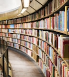 books on brown wooden shelf