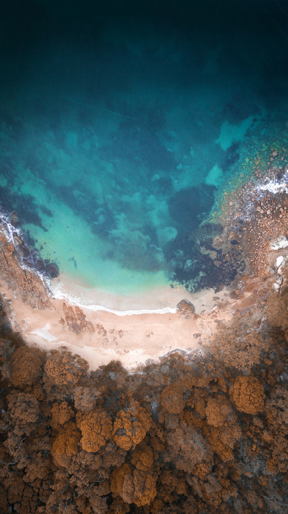 aerial photo of beach