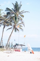 A tropical beach scene with tall palm trees swaying in the breeze. In the foreground, a surfboard is propped up against a stand on the sandy shore. There is a small hut with flags waving above it, likely a beachside vendor or bar. Two lounge chairs are placed on the sand near the water's edge.