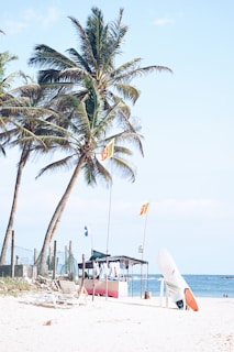 A tropical beach scene with tall palm trees swaying in the breeze. In the foreground, a surfboard is propped up against a stand on the sandy shore. There is a small hut with flags waving above it, likely a beachside vendor or bar. Two lounge chairs are placed on the sand near the water's edge.