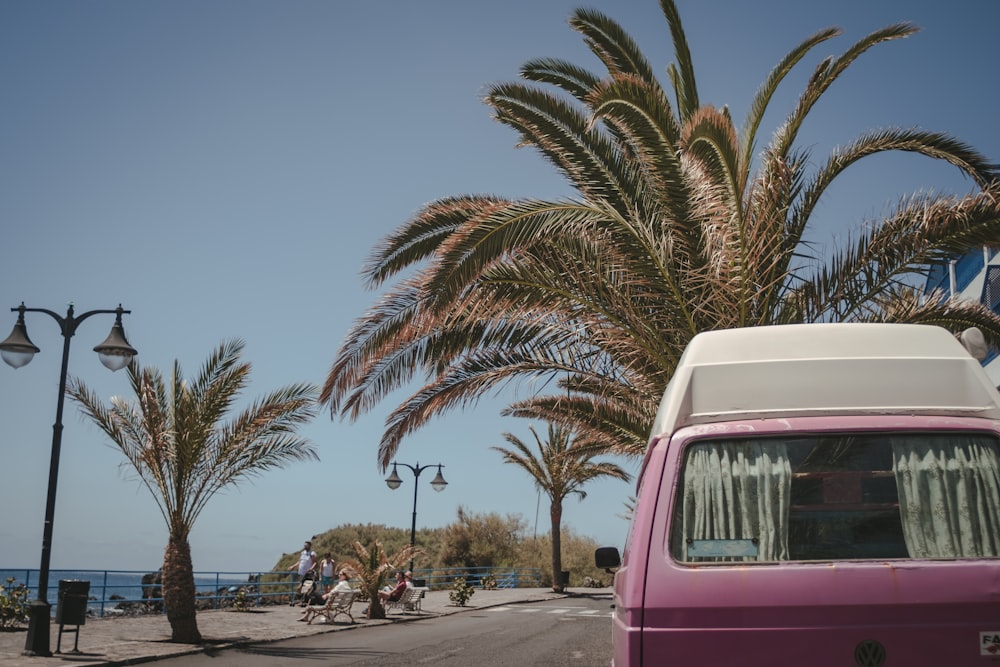 Furgoneta rosa cerca de palmera