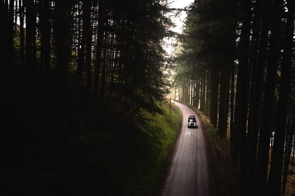 Schwarzes Auto auf der Straße zwischen Wald