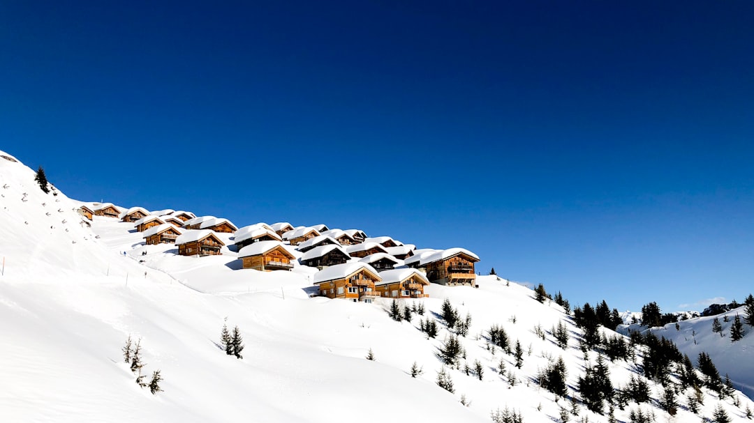 snow covered mountain with houses and trees during daytime