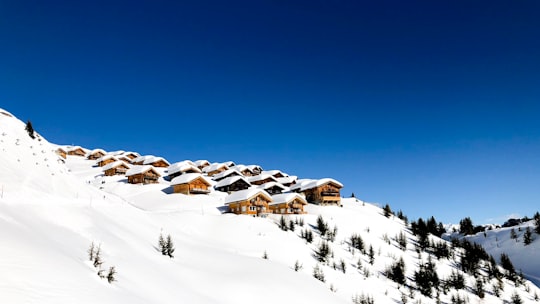 snow covered mountain with houses and trees during daytime in Belalp Switzerland