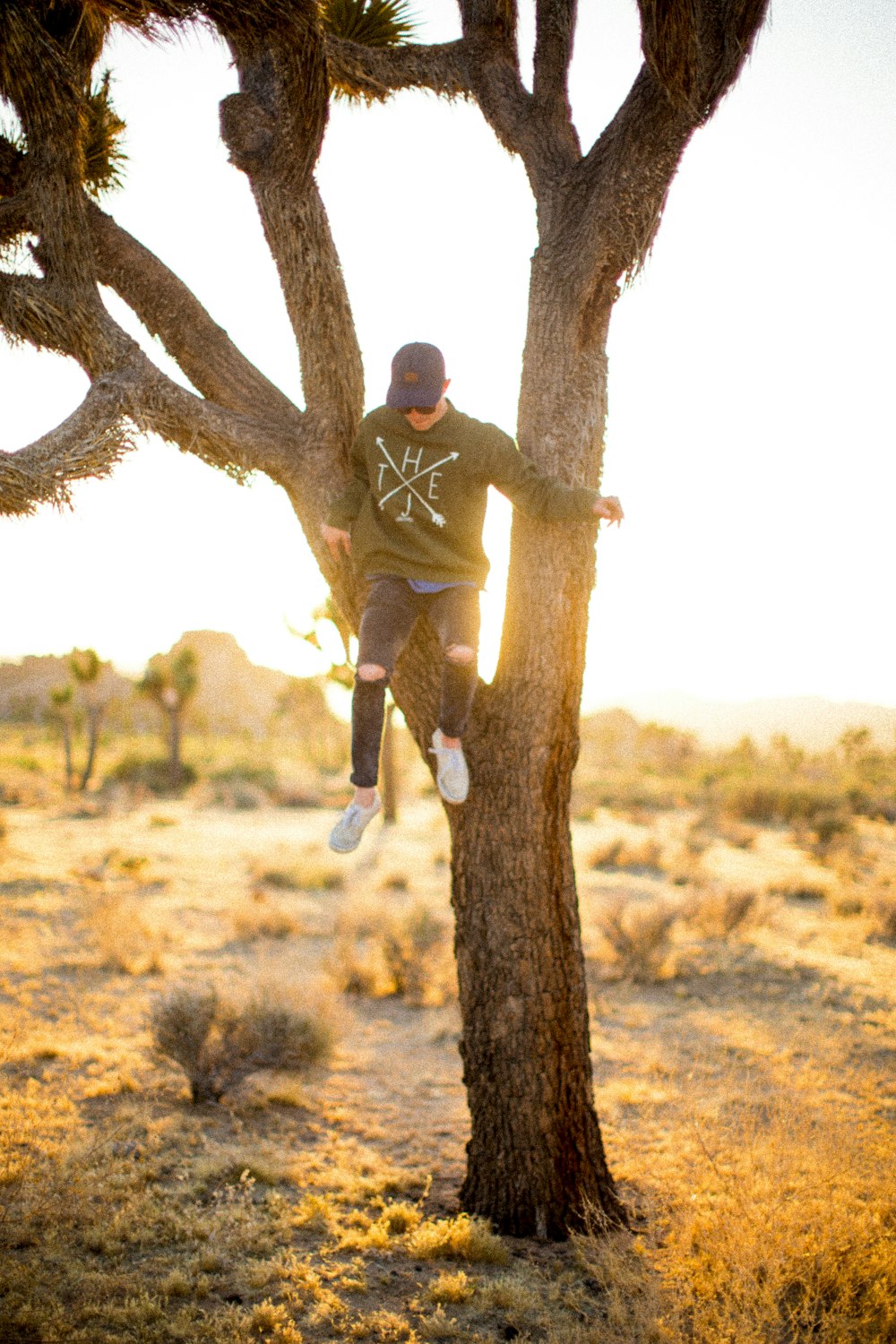 person climbing on tree