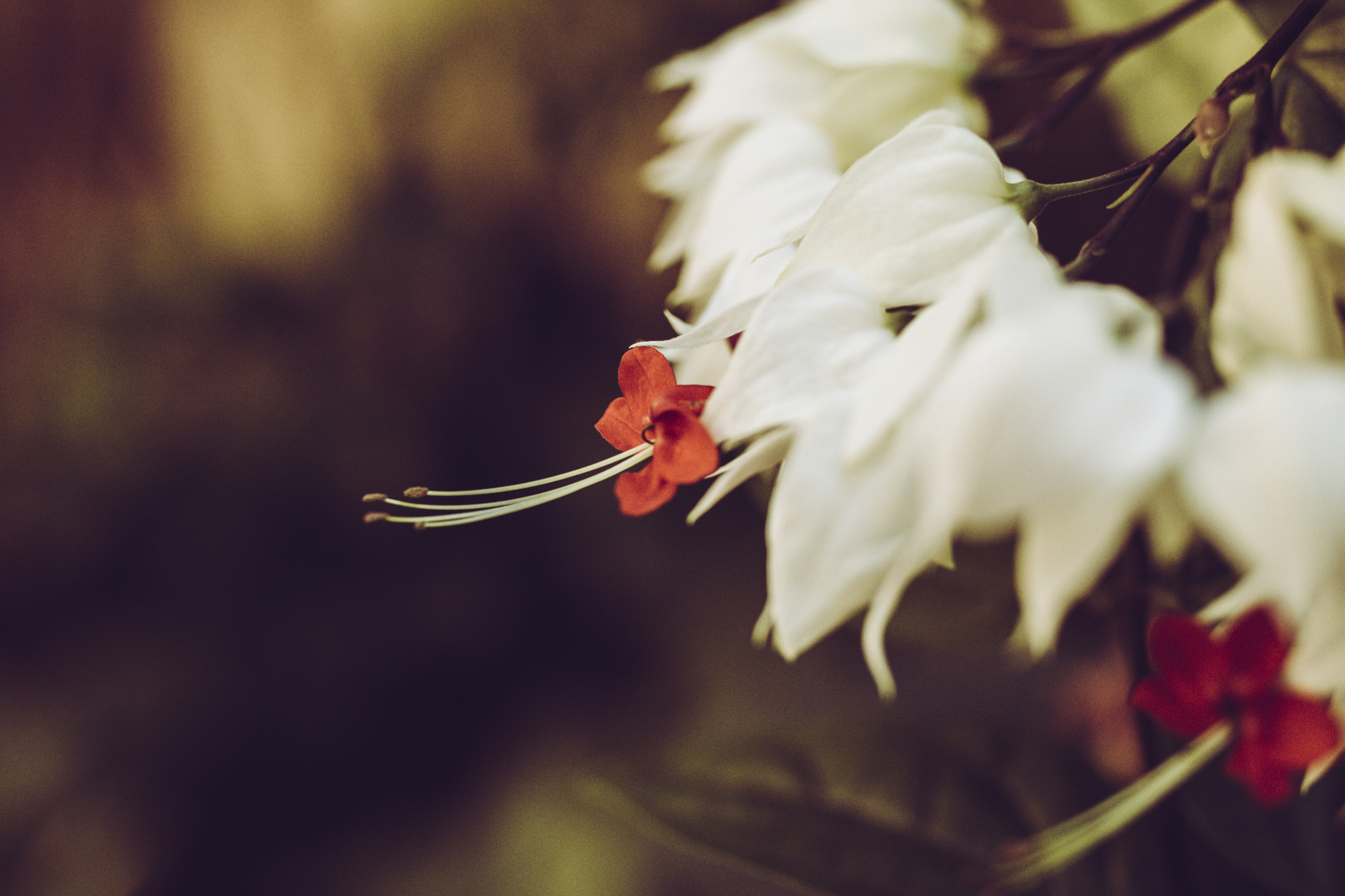 心靈世紀/心靈小品/生活智慧