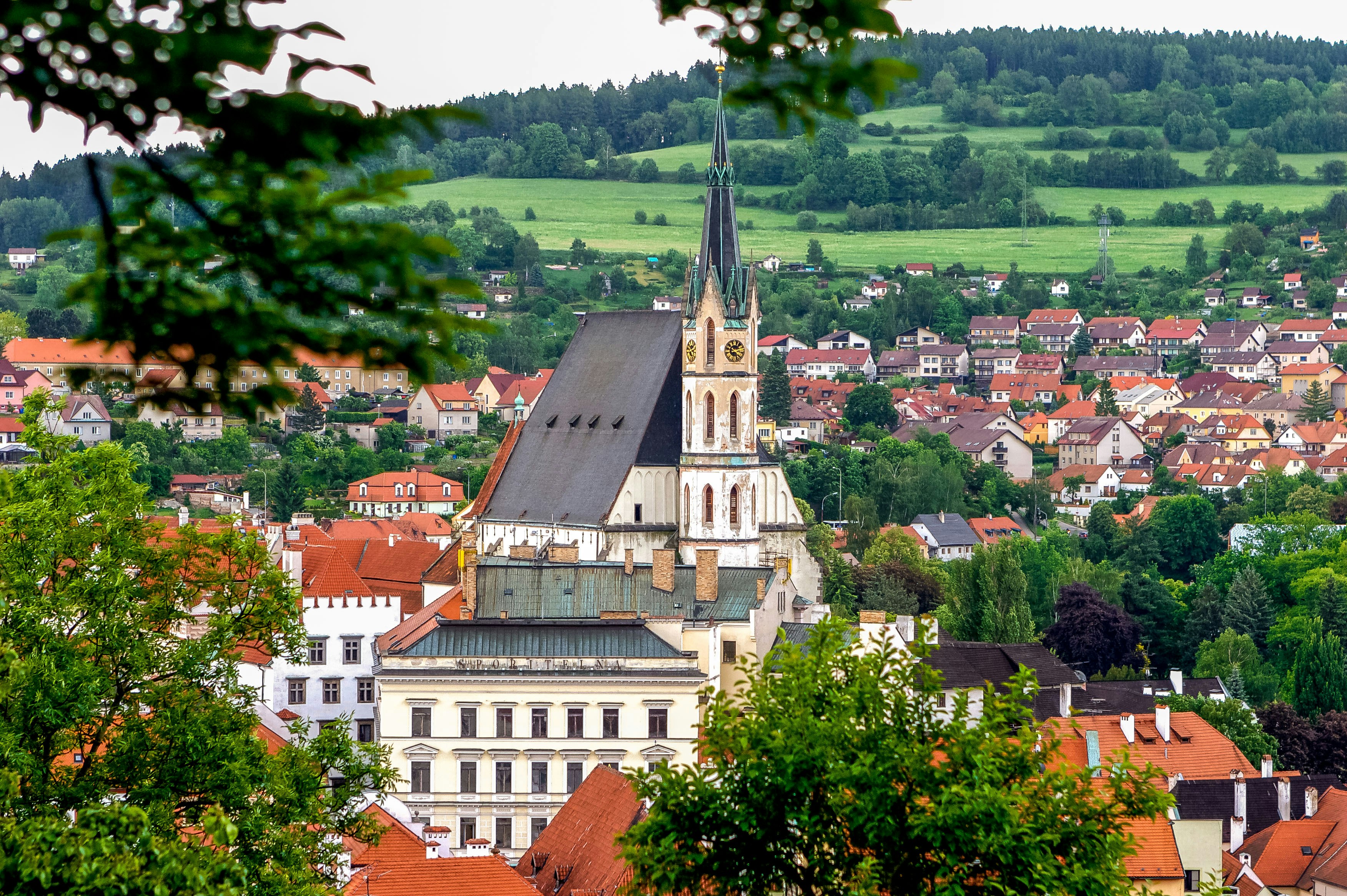 photo-1525032152918-676c1e21166c?q=80&w=1000&auto=format&fit=crop&ixlib=rb-4.0.3&ixid=M3wxMjA3fDB8MHxwcm9maWxlLXBhZ2V8MjV8fHxlbnwwfHx8fHw%3D