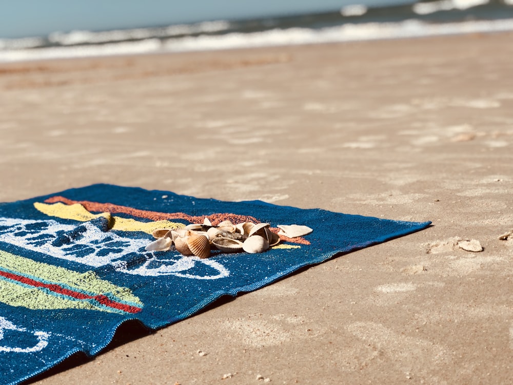 seashell on blue bath towel on shore
