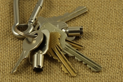 metallic keys attached to a carabiner