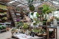 A well-organized indoor garden shop filled with various potted plants and flowers. A large wooden table displays an array of vibrant floral arrangements, ferns, and succulents. There are decorative ceramic pots and vases, a book open to a page on floral design, and a small chalkboard sign with plant information. Wooden shelves and ladders line the walls, holding additional plants and garden ornaments.