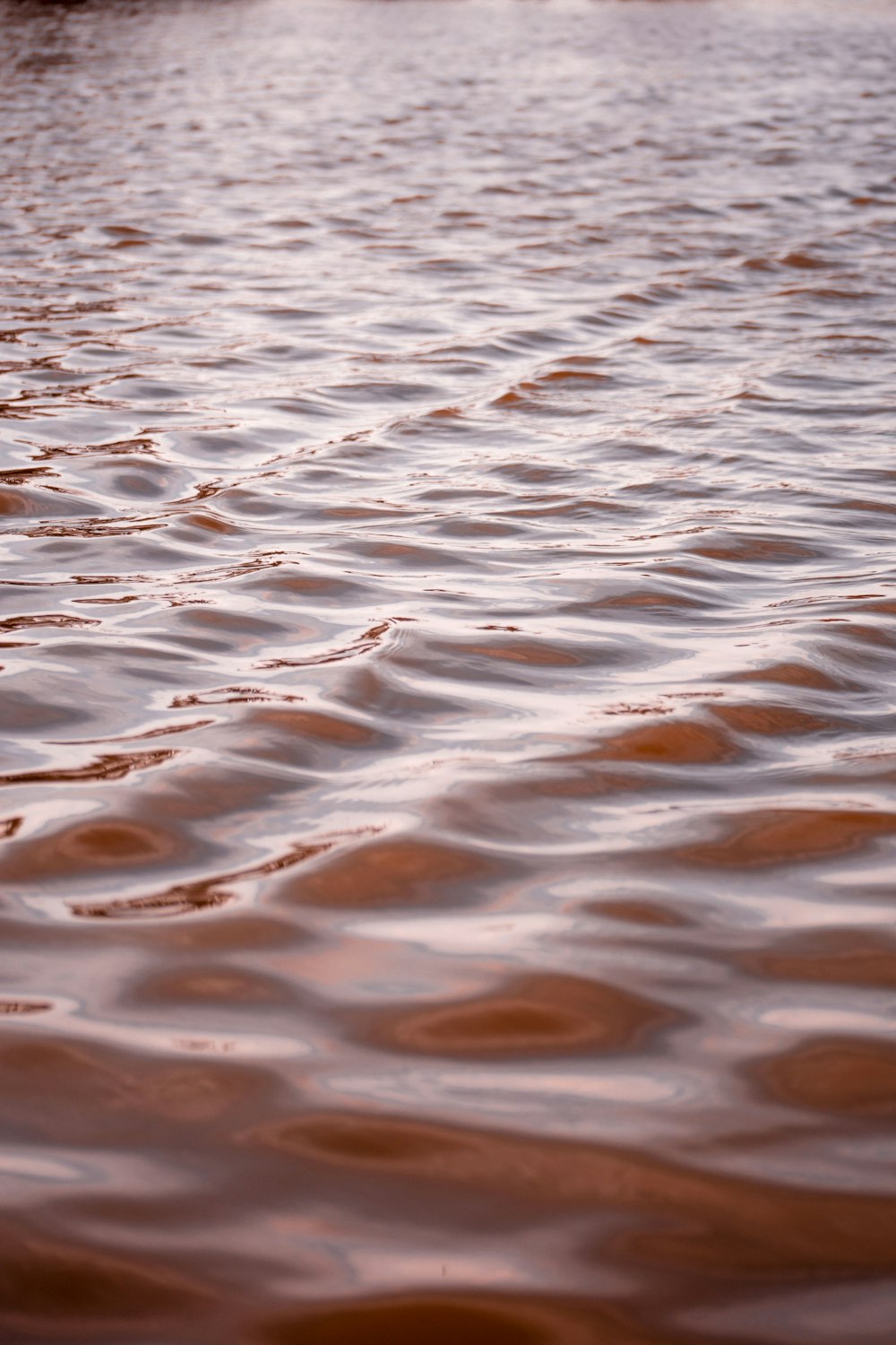 focus photo of body of water