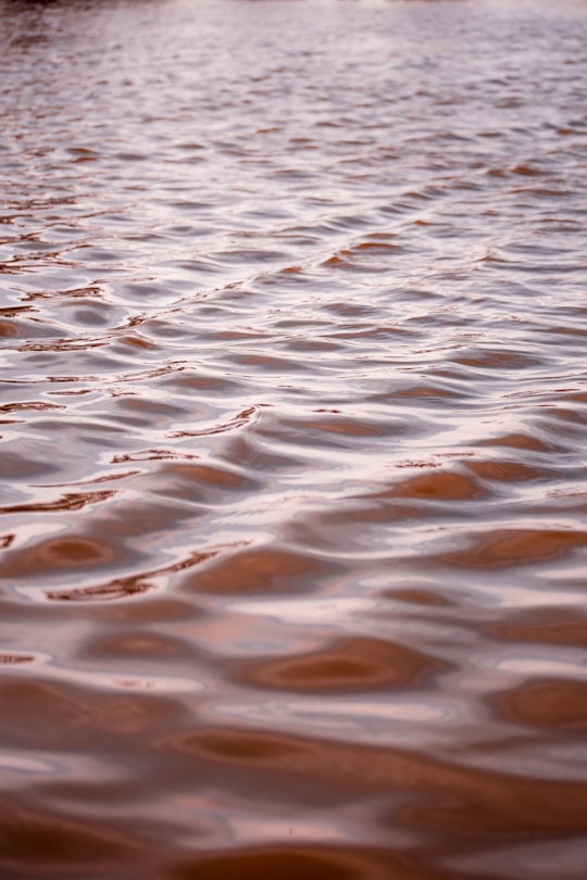 focus photo of body of water in Vredendal South Africa