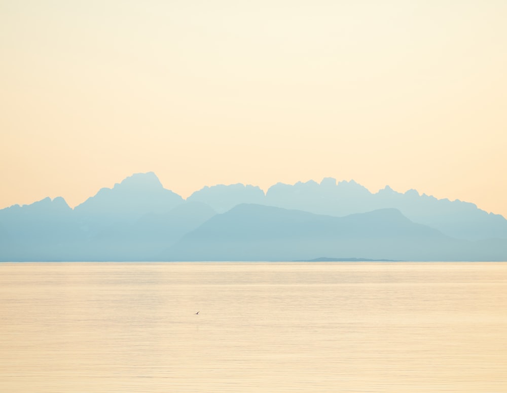 landscape photo of a mountain and body of water