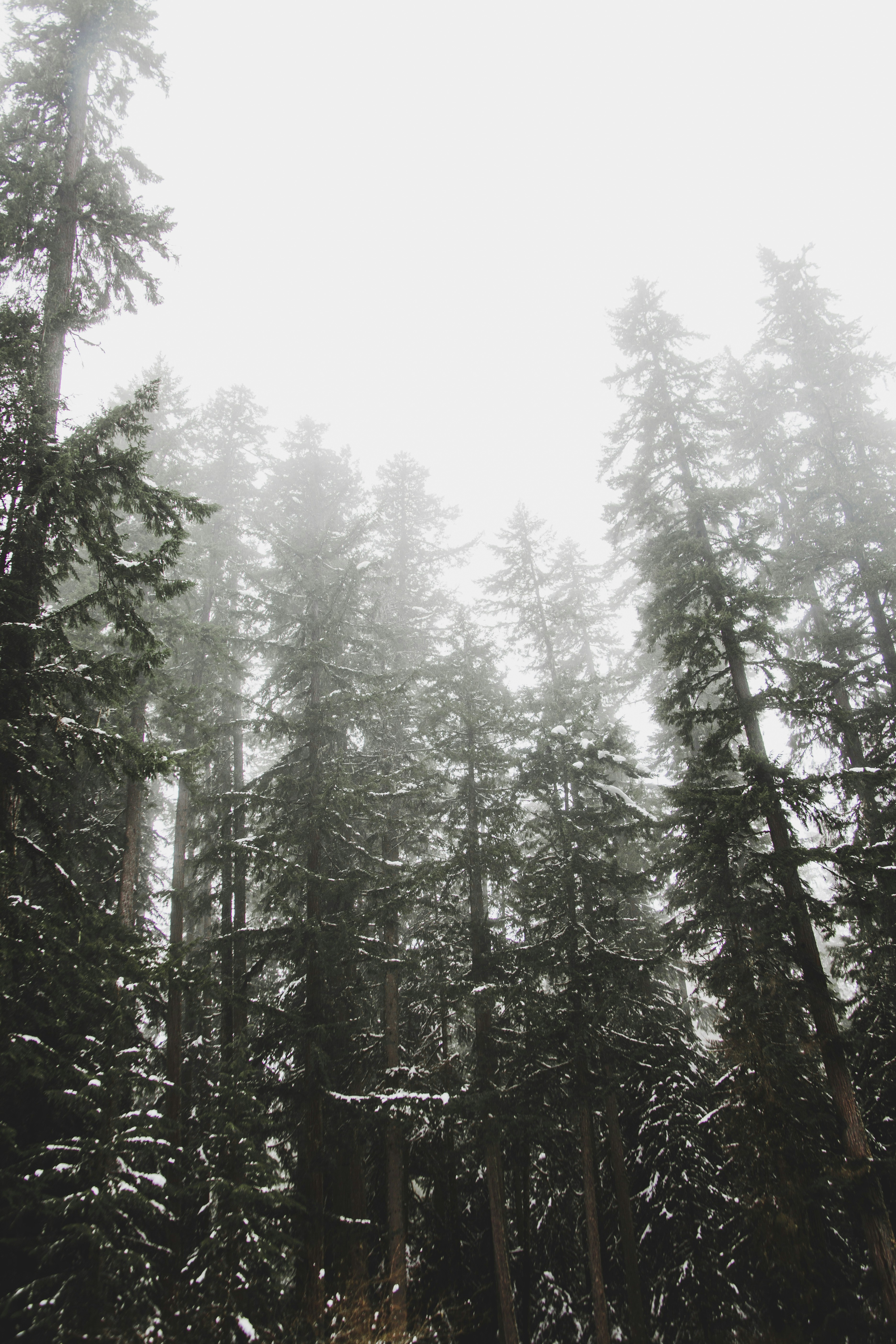 Photo by alexmcferon