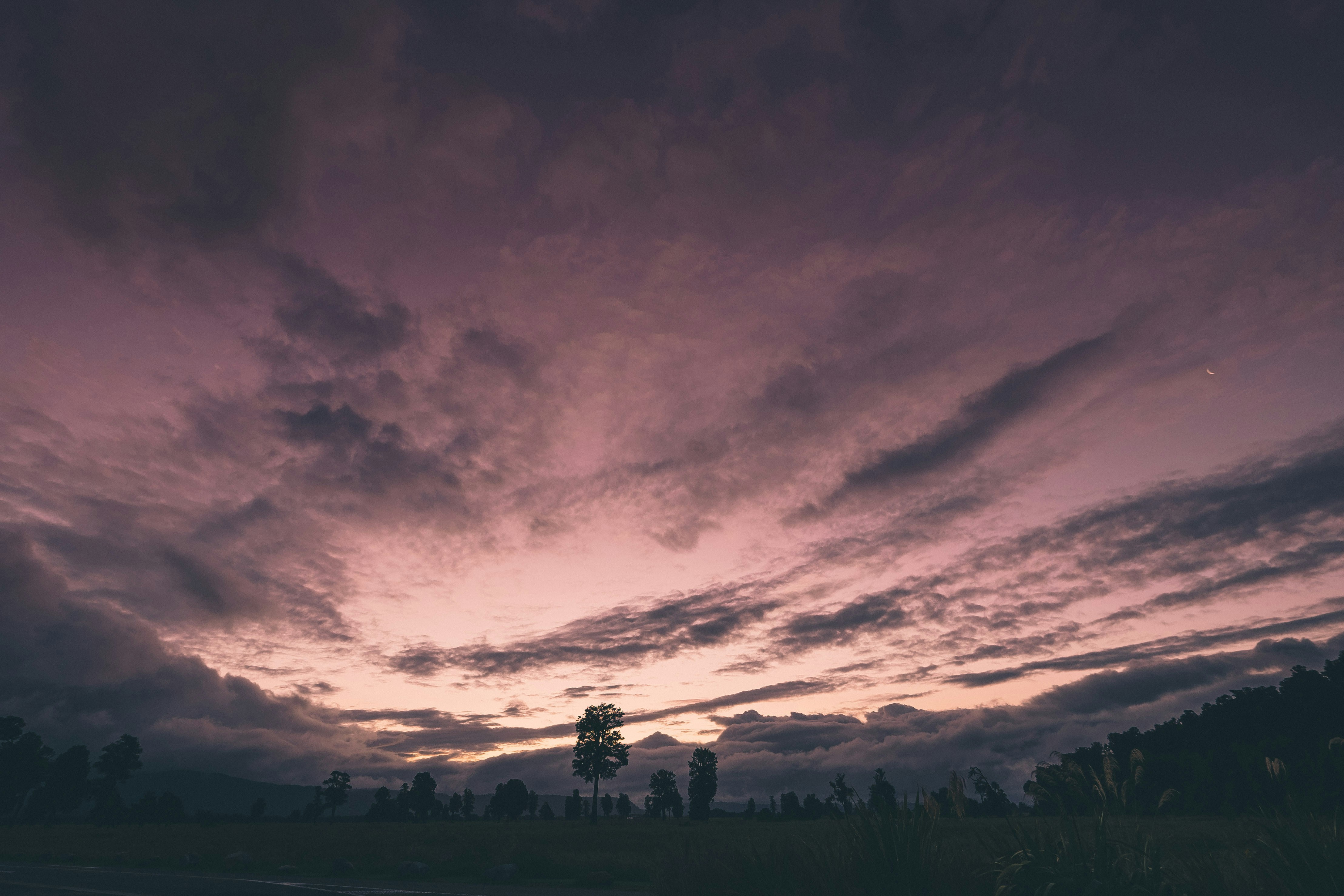 fisheye photography of grass field during sunset