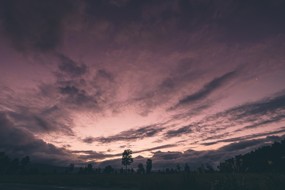 fisheye photography of grass field during sunset