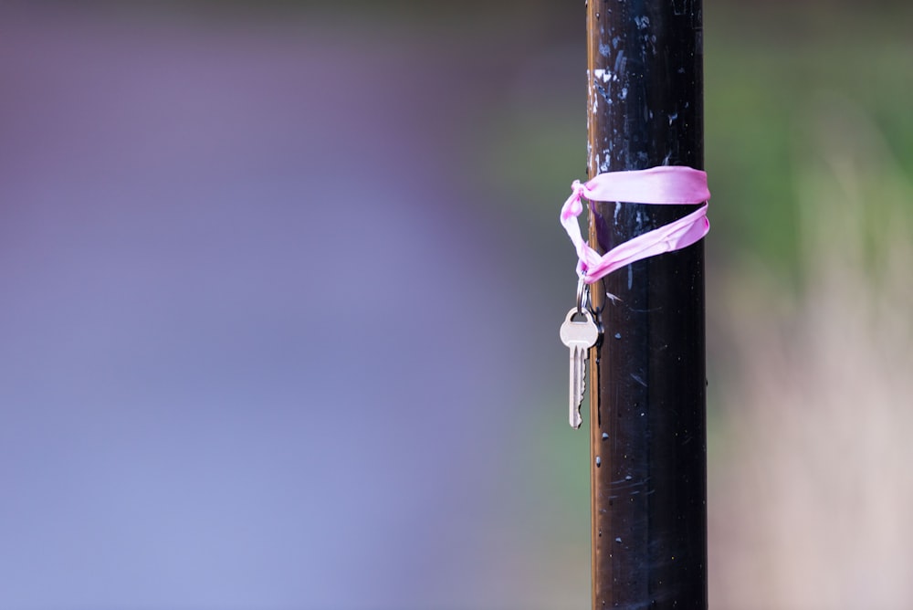 stainless steel key on brown rod