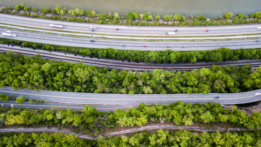 森と森の間の幹線道路