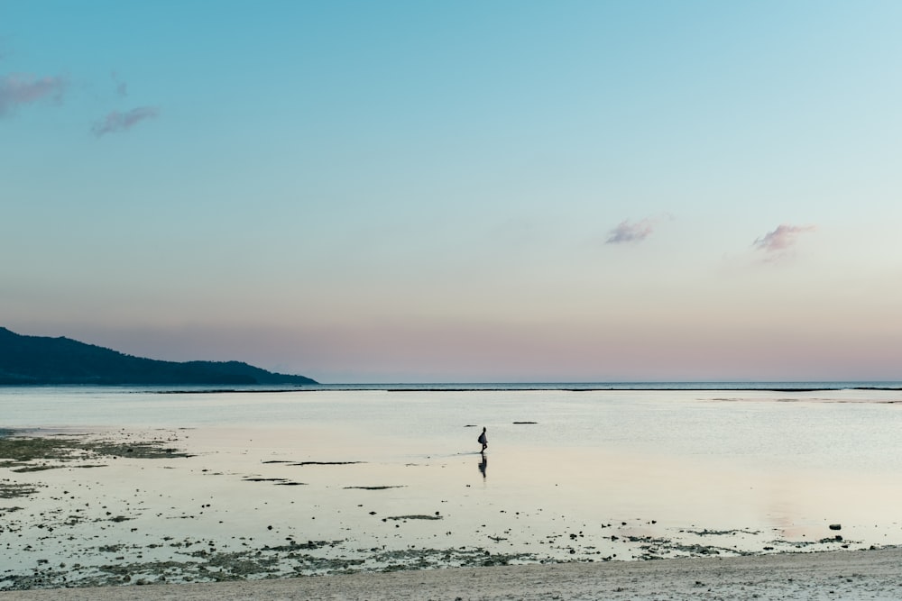 persona in piedi in uno specchio d'acqua sulla spiaggia