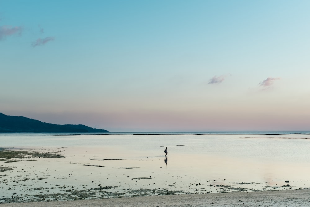 person standing in body of water on beach