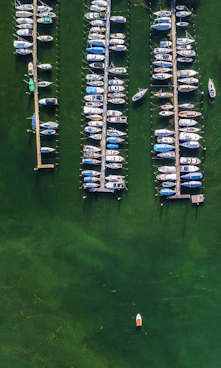 white and orange boar on body of water