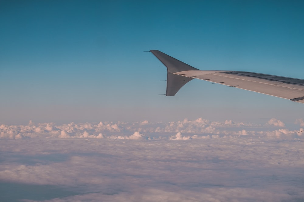 灰色の飛行機