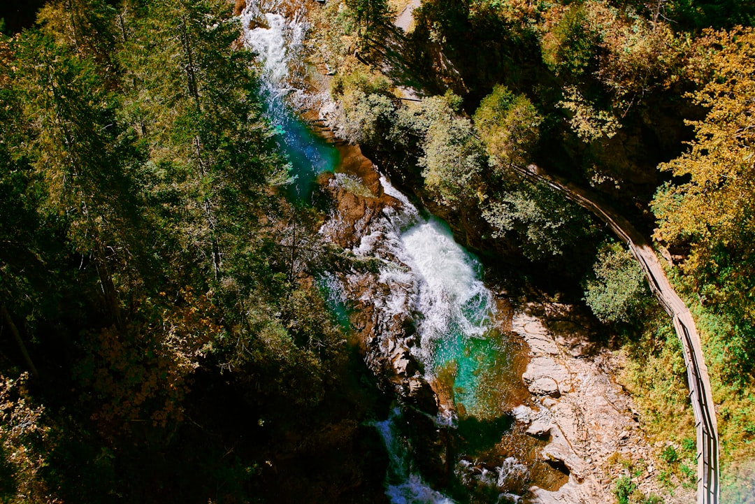 aerial photography of body of water surrounded with trees during daytime