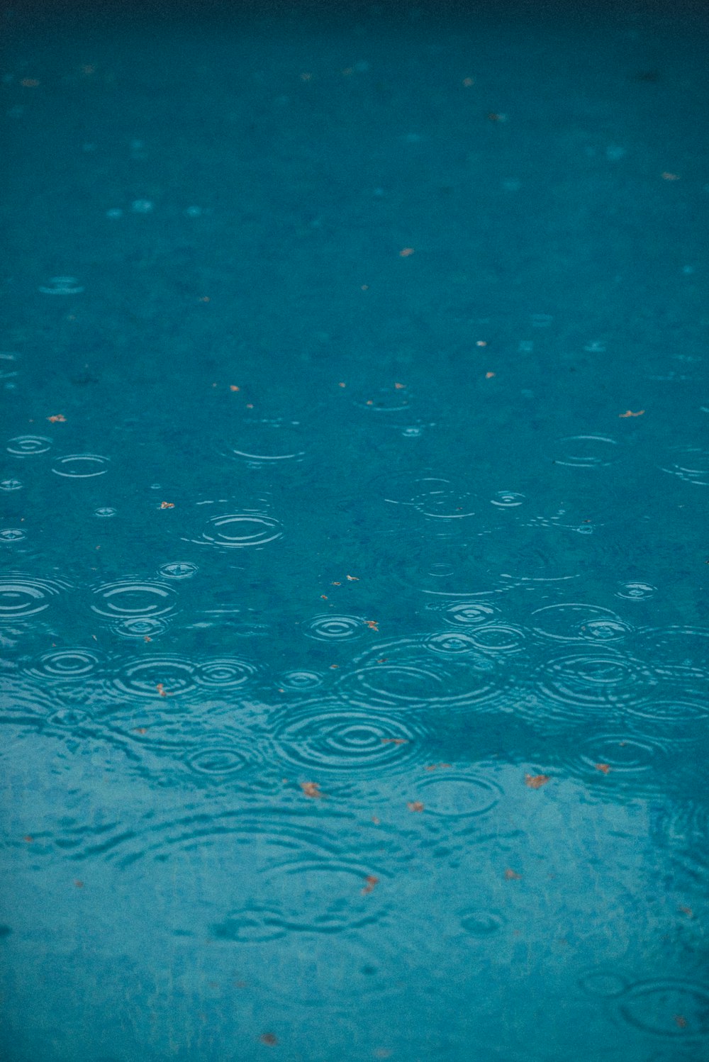 time lapse photography body of water