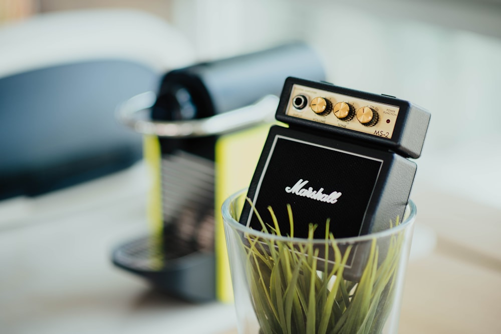 Marshall amplifier in vase