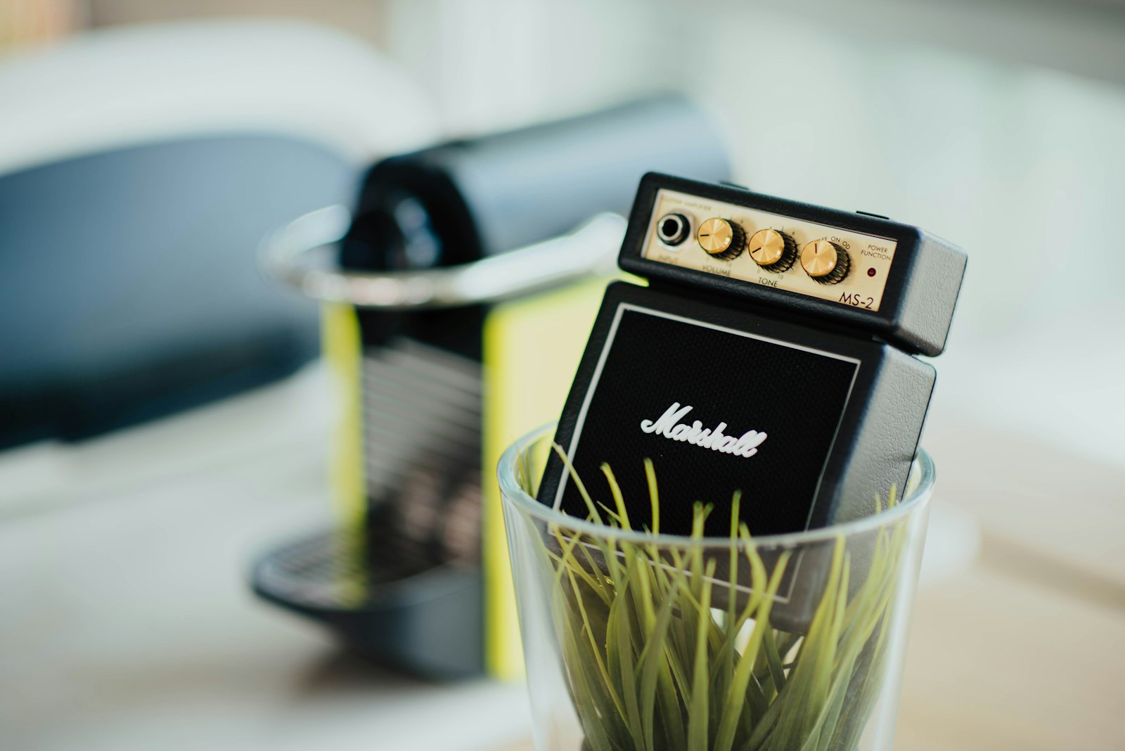 Nikon D750 + Nikon AF-S Nikkor 85mm F1.4G sample photo. Marshall amplifier in vase photography