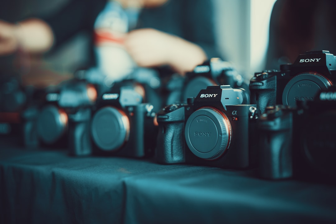 Sony DSLR camera lot, The Armory