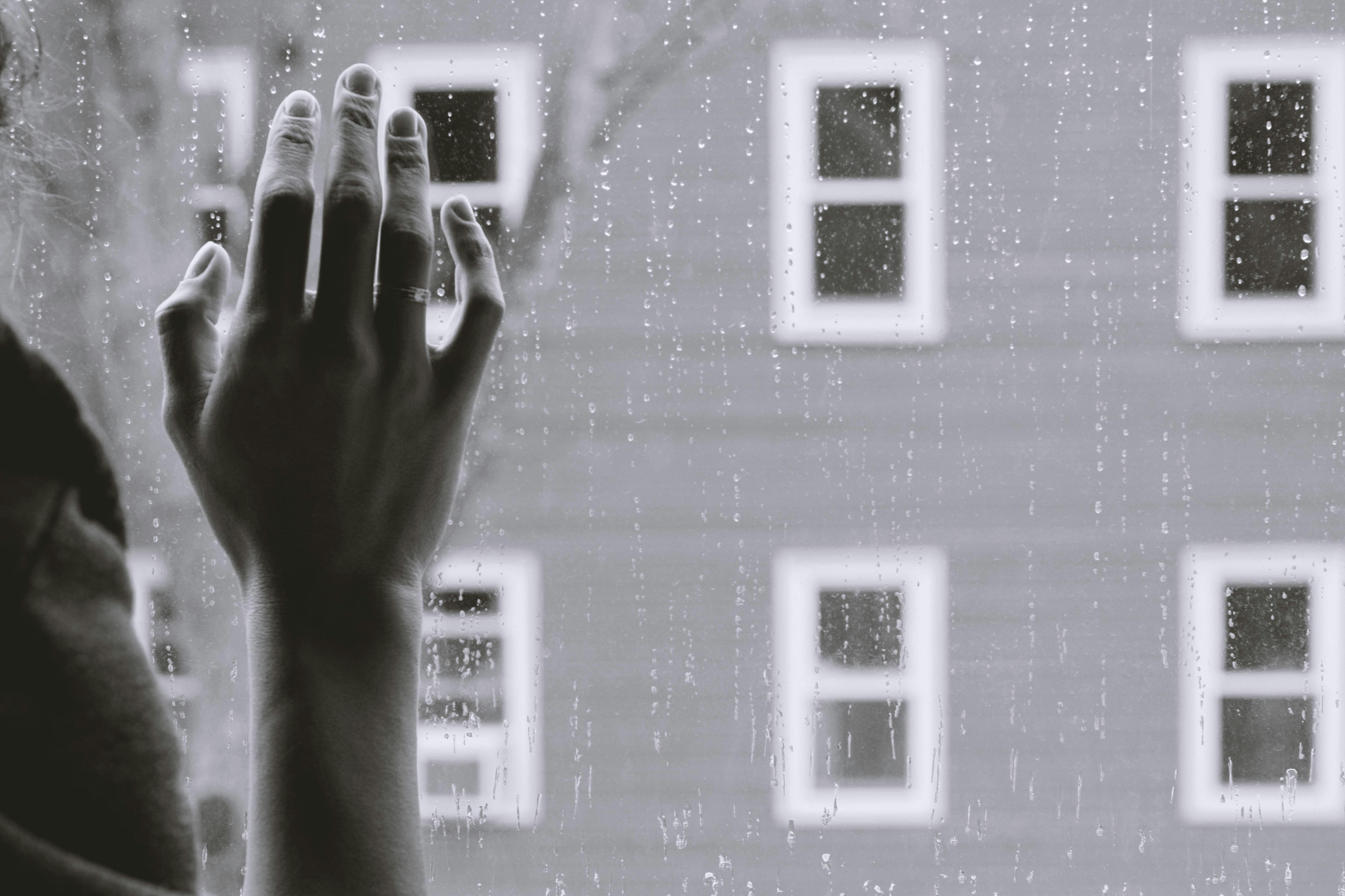 Oxalates And Hormonal Health: The Connection To Depression