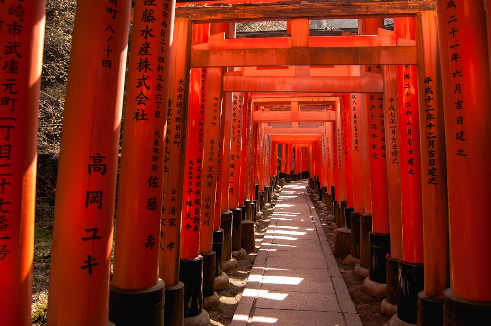 red wooden arcs