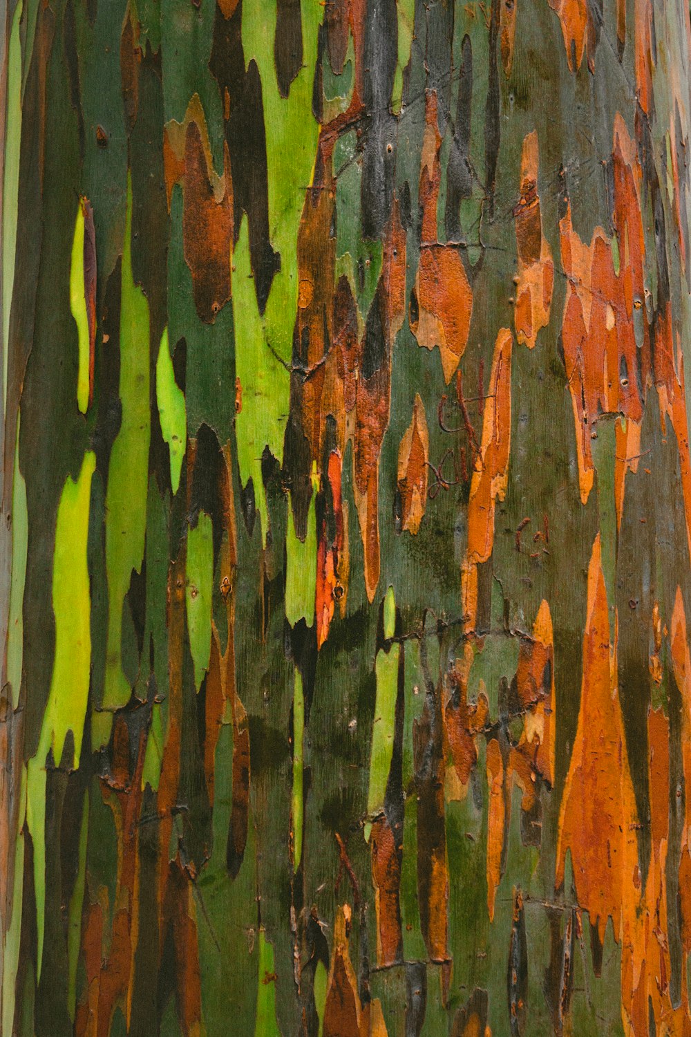 Pintura abstrata verde, laranja e preta