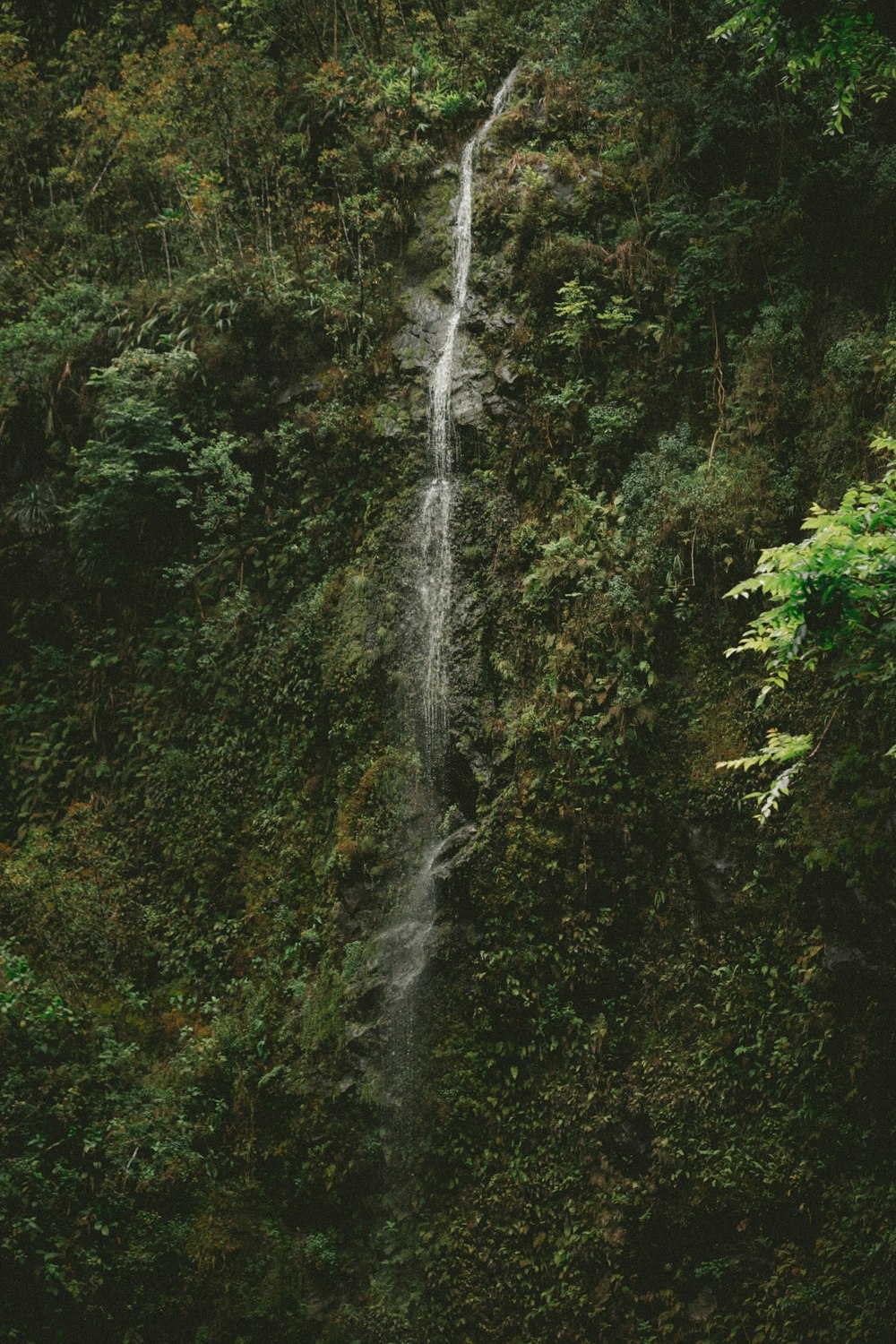 waterfall at daytime