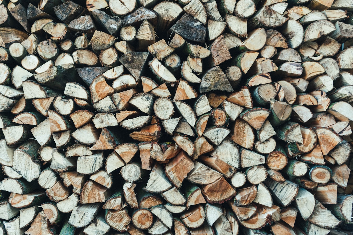 Houtopslag: 5 tips voor het bewaren van droog bran