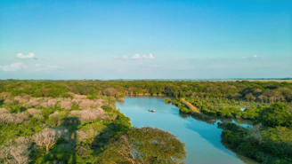 A friendly tour guide smiling with a backdrop of Panama's lush rainforest and a winding river.