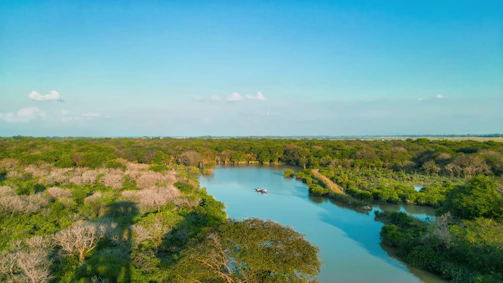 A friendly tour guide smiling with a backdrop of Panama's lush rainforest and a winding river.