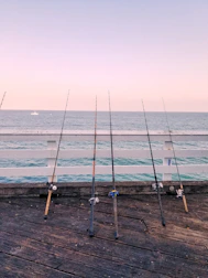 five fishing rods