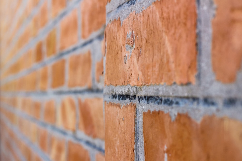 tilt shot of brick wall