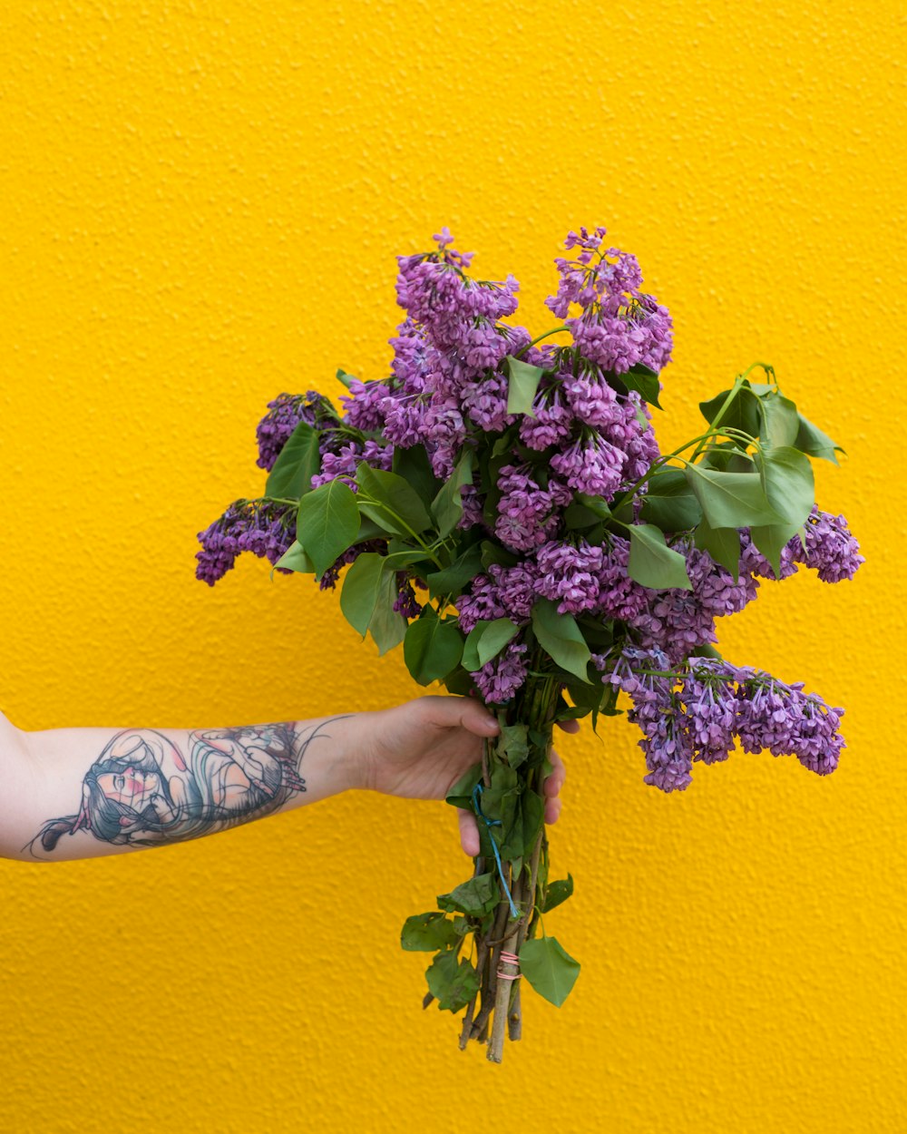 personne tenant un bouquet de fleurs violettes