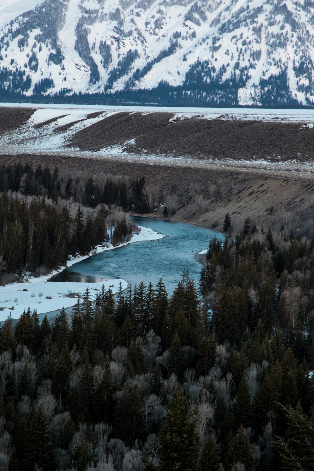 Photographie aérienne de rivière et de forêt