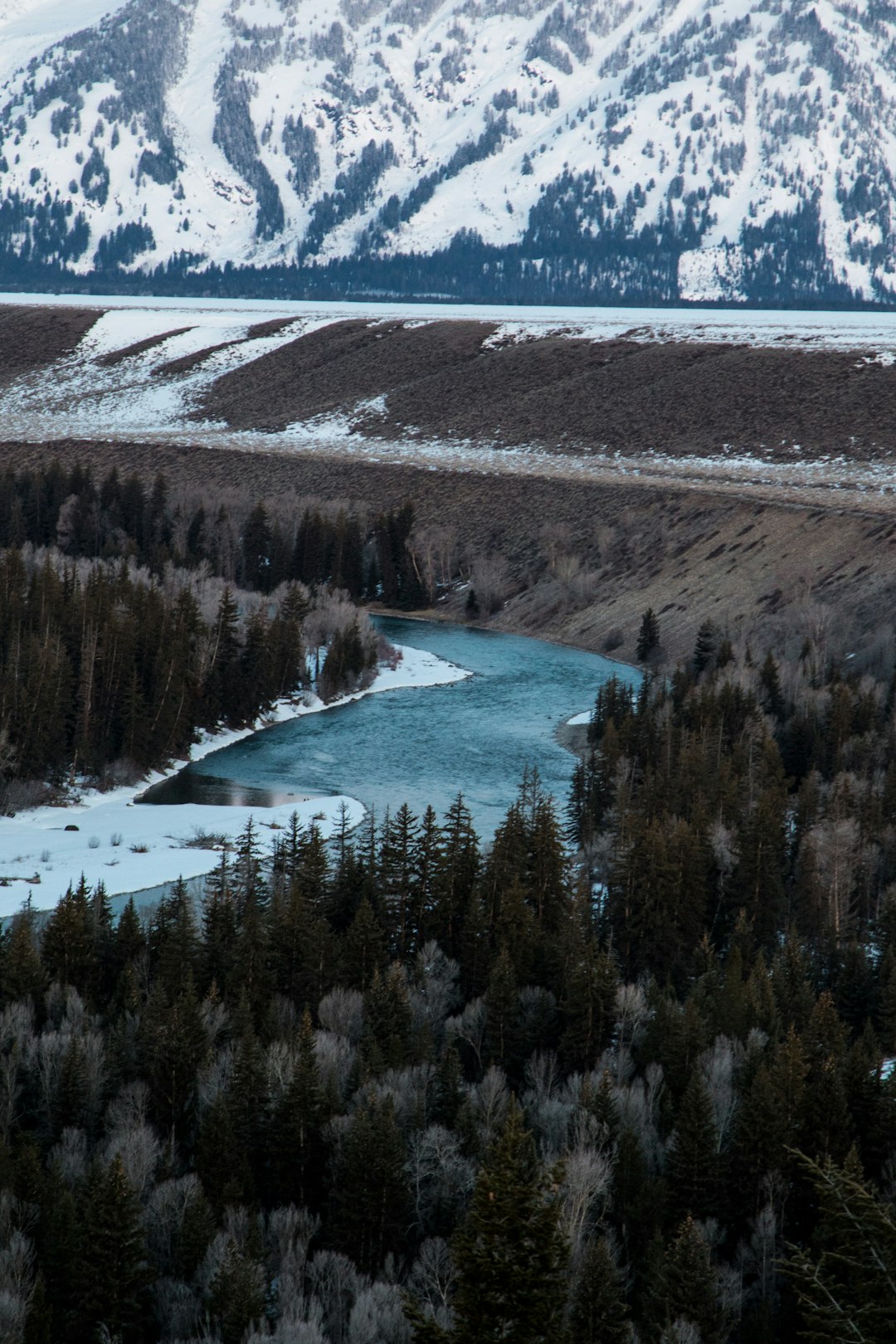 aerial photography of river and forest