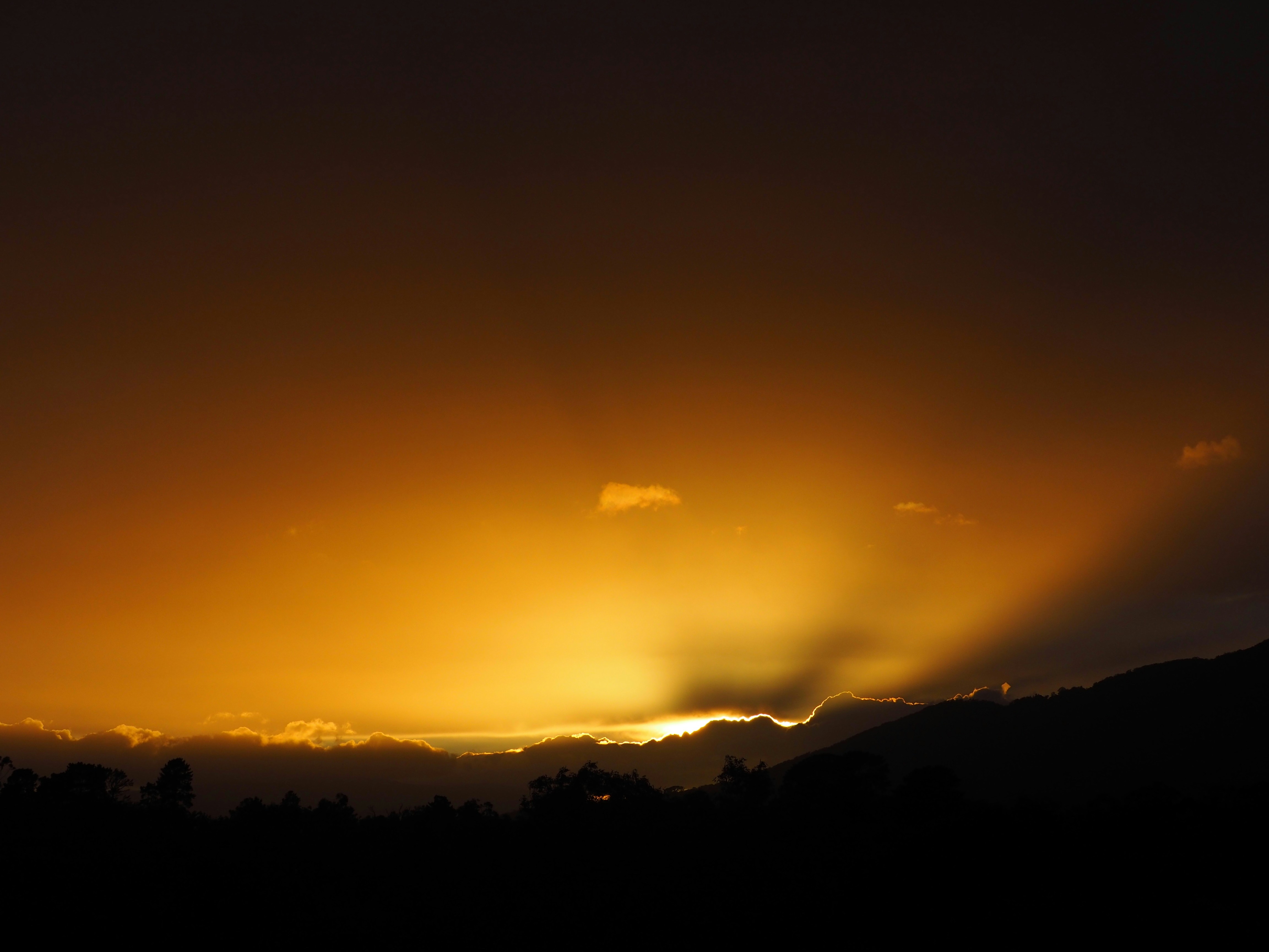 Photo by faustdownunder