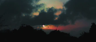 A brooding sunset behind a rugged Canadian forest, evoking the moods of resilience and survival.