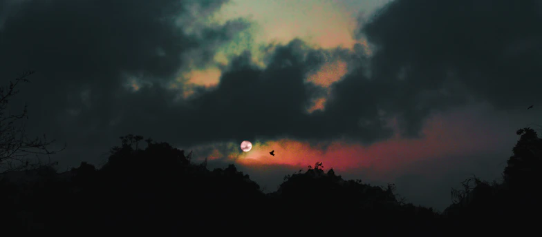 A brooding sunset behind a rugged Canadian forest, evoking the moods of resilience and survival.