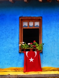 pink and white flowers in red vase on window