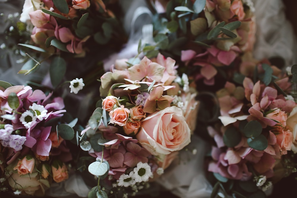 pink and white rose flowers