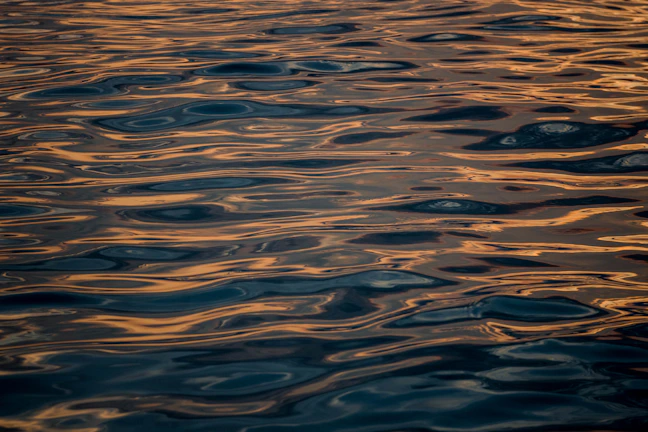 Soft dawn light illuminating a harmonious Tai Chi pattern on water.