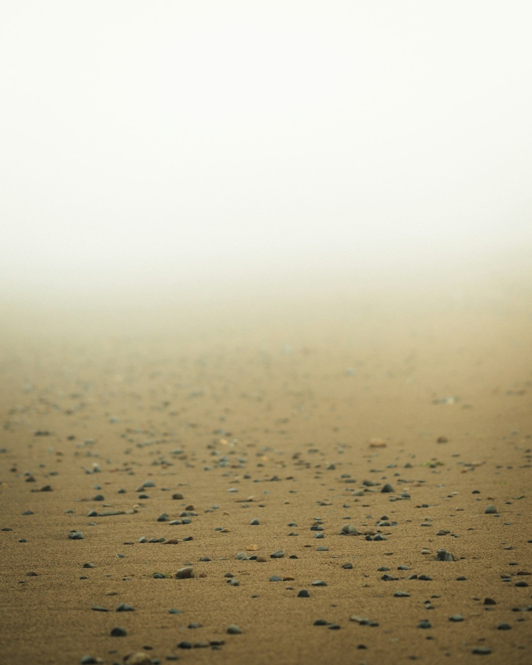 Beach photo spot Nova Scotia Minas Basin